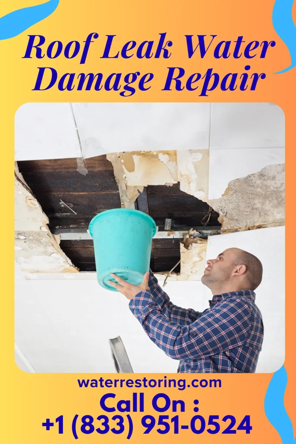 Roof Leak Water Damage Repair in Sturgeon Lake, MN